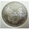 Image 3 : 2009 silver Eagle EARLY RELEASES