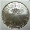 Image 2 : 2006 silver Eagle FIRST STRIKES