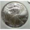 Image 2 : 2006 Silver Eagle First Strikes