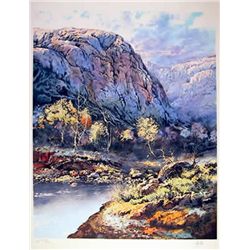 Braun, Jorge Tarallo - Original hand signed and numbered lithograph