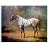 Image 1 : Hayse, Helen - Original Lithograph hand signed and numbered