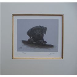 Silver, John - Puppies lithographs - set of 5 hand signed and numbered