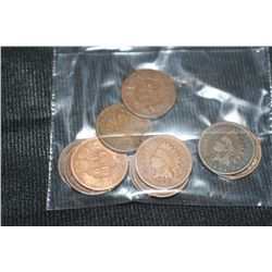 indian head pennies various dates & conditions, lot of 10