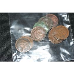 indian head pennies various dates & conditions, lot of 10