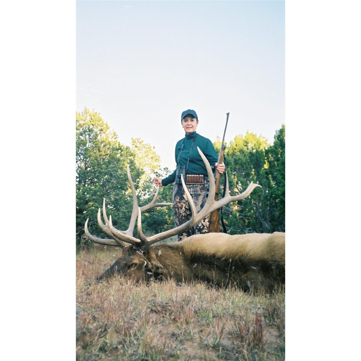 5 Day Trophy Bull Elk Hunting Package Pueblo of New Mexico