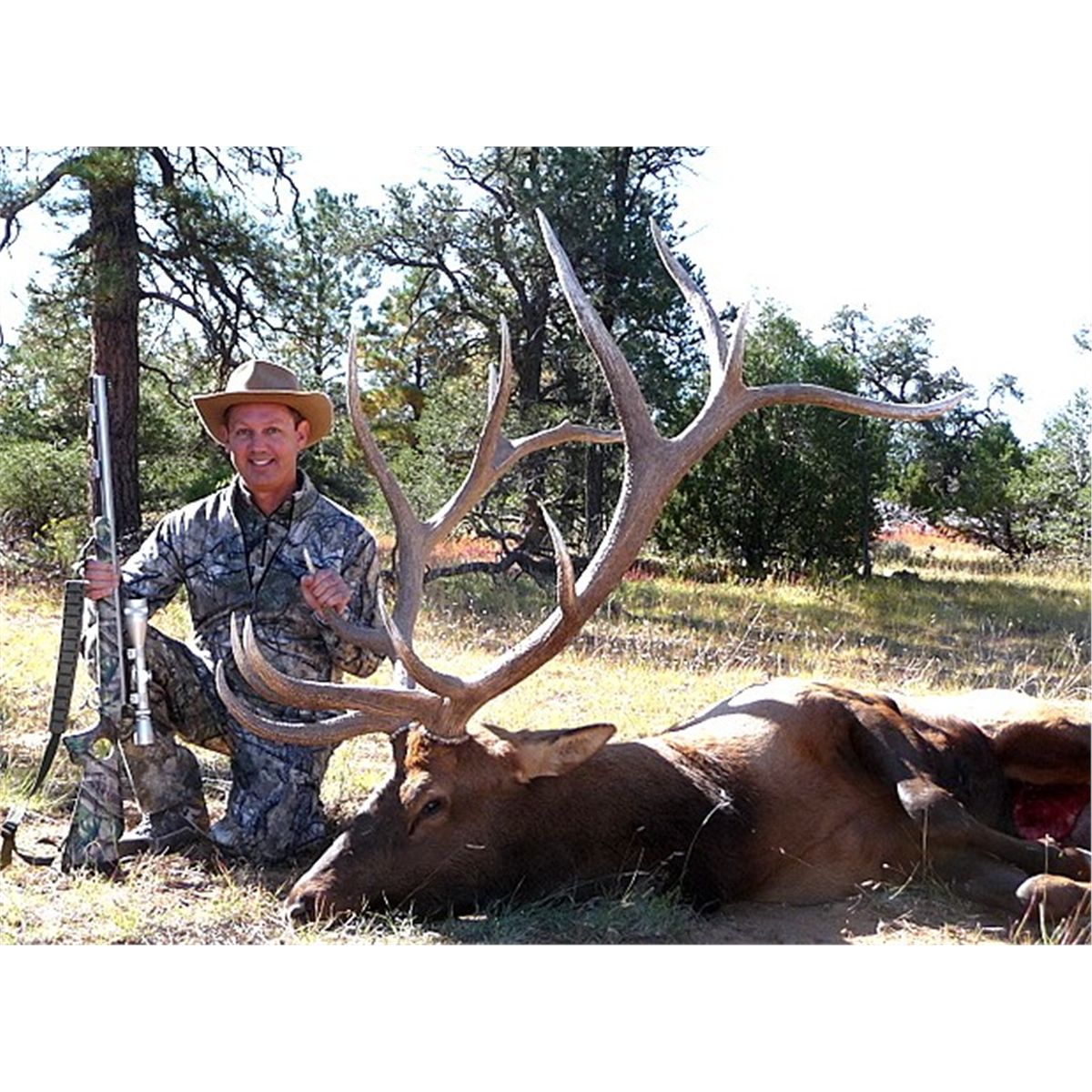 5 Day Trophy Bull Elk Hunting Package Pueblo of New Mexico