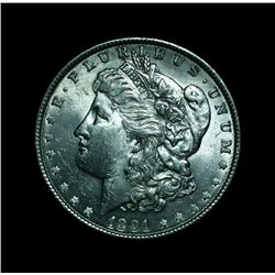 1891-p Morgan Dollar Grades Select Uncirculated ms63