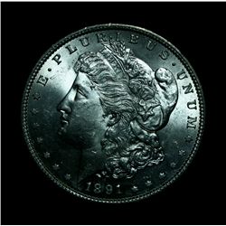 1891-s Morgan Dollar Grades choice uncirculated ms64
