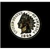 Image 1 : 1895 Proof Indian Cent 1c Gem Uncirculated PR65 RD Red Almost Cameo
