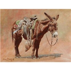Baize, Wayne - Slow Transportation