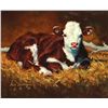 Image 1 : Devenyns, Steve - Innocence