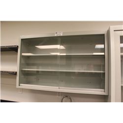 DOUBLE GLASS DOOR WALLMOUNT LABORATORY CABINET