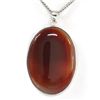 Image 1 : 16.55g Semi-Precious Stone Pendant