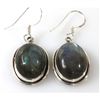 Image 1 : 8.72g Semi-Precious Stone Earrings