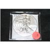 Image 1 : 2012 silver eagle one dollar
