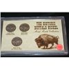 Image 1 : Buffalo Nickel Mint Mark Collection