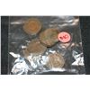 Image 1 : Indianhead pennies, various dates & conditions, lot of 10