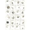 Image 2 : Large lot of 30 Mexico City, Mexico, silver cobs (4R, 2R, 1R and 1/2R), Charles II and Philip V, ass
