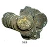Image 1 : Clump of over 20 Spanish colonial bust 1/2R.  28.1 grams. A flat but dense agglomeration of thin coi
