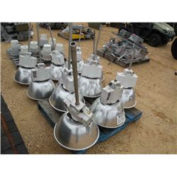 (1) LOT LIGHT FIXTURES