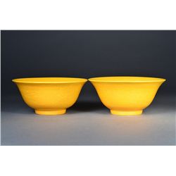 Chinese Yellow Anhua Bowl Ming Chenghua