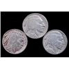 Image 1 : 1920-PDS SET OF BUFFALO NICKELS