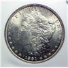 Image 2 : 1891CC   Morgan $ NGC64---GS64 bid = $1050