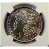 Image 2 : 1894    Morgan $ NGC UNC details cleaned