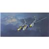 Image 1 : P-38 Lightning Fellows Pacific Theatre