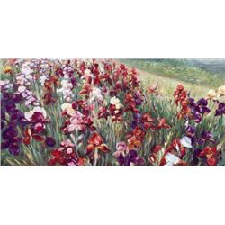 Marysia Burr RED IRISES Field of Flowers LE Art Print