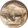 Image 2 : 1921 Buffalo Nickel PCGS MS65