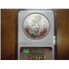 Image 2 : 1991 AMERICAN SILVER EAGLE NGC MS69