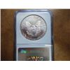 Image 2 : 1993 AMERICAN SILVER EAGLE NGC MS69