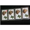 Image 1 : Texas State Quarters lot of 4