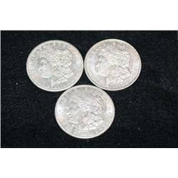 1921 Silver Morgan Dollar, lot of 3