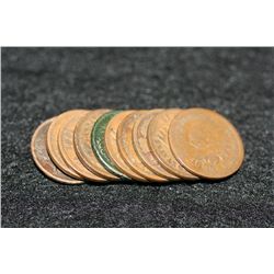 Indian Head penny, various dates & conditions, lot of 10