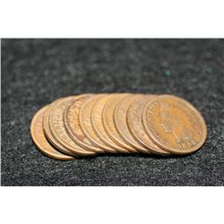 Indian Head penny, various dates & conditions, lot of 10