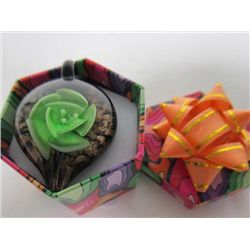 Murano glass heart shaped pendant