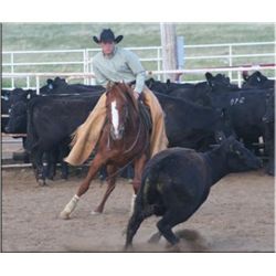 Gay Bar Manzana - 2006 Sorrel AQHA Mare