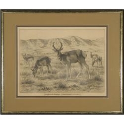 Robert Lindneux, graphite