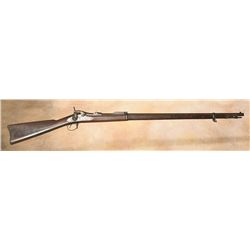 Model 1884 Springfield Trapdoor
