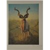 Image 2 : Original lithograph "The Greater Kudu" hand  signed by Peter Darro, numbered 830 of 1,500.   15" x 1