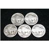 Image 2 : Buffalo nickel, lot of 5, various conditions, NO DATE