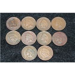 Indian Head penny, various dates & conditions, lot of 10