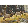 Image 1 : Dave Wade - Elk