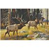 Image 1 : Dave Wade - Elk