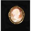 Image 1 : A Victorian shell cameo brooch carved with...