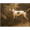 Image 1 : A Foxhound Bitch with four puppies, and A ...