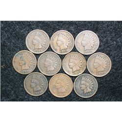 Indian Head Pennies various dates & conditions, lot of 10