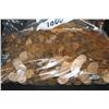 Image 1 : Wheat Back Pennies various dates & conditions, lot of 1000, unsearched